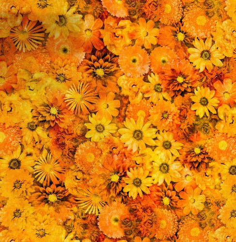 BLOSSOM BY QUILTING TREASURES ORANGE YELLOW MIX FLORAL BLENDER COTTON FABRIC HY - Picture 5 of 6