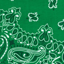 Carolina Hav-A-Hank Paisley Bandanna 22"X22"-Kelly Green
