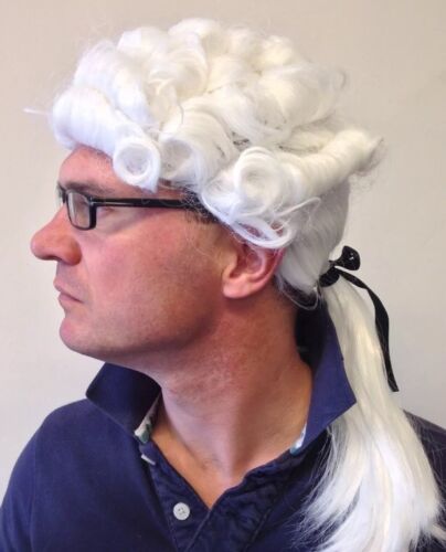 Judge Wig Barrister Court Gentleman Downton Lawyer Fancy Dress Party White Hair - Picture 1 of 8