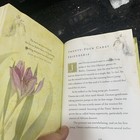Picture 3 of 7