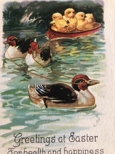 Alte Oster Postkarte, Enten am Teich ziehen Küken im Boot - 1923 - bezaubernd - Bild 2 von 4