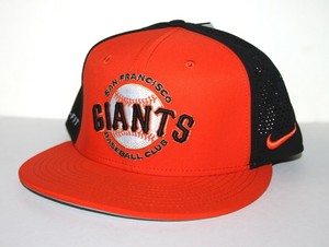 nike true vapor swoosh flex cap