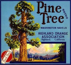 Highland San Bernardino Pine Cone Orange Citrus Fruit Crate Label Art Print