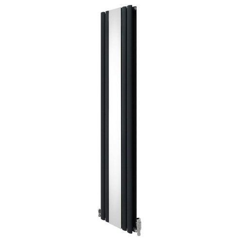 Radiador de Columna Ovalada con Espejo y Válvulas cromadas TRV, Gris Antracita, - Imagen 1 de 12