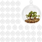 40 Pack 3.5 Inch Acrylic Hanging Globe, Plastic Hanging Balls, DIY Clear Fill...