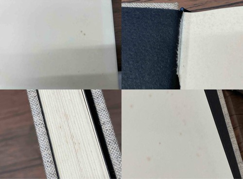 Tomomi Hamada Copperplate Prints Bijutsu Shuppan-sha - Foto 6 di 6