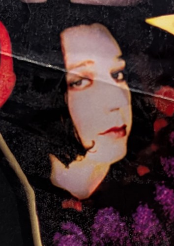 Póster promocional Jack Off Jill Covetous Creature 1997 Sexless Demons Risk Records - Imagen 13 de 19