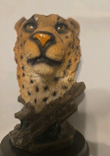 Lote de 5 figuras de animales oso león lobo tigre y leopardo - Imagen 4 de 9