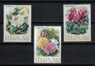 Foto 2 di 4