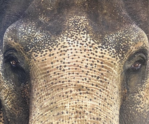 Elefant Leinwand Wandkunst Original 11x14"" Druck Terrie McClay siehe Fotos & lesen - Bild 2 von 7