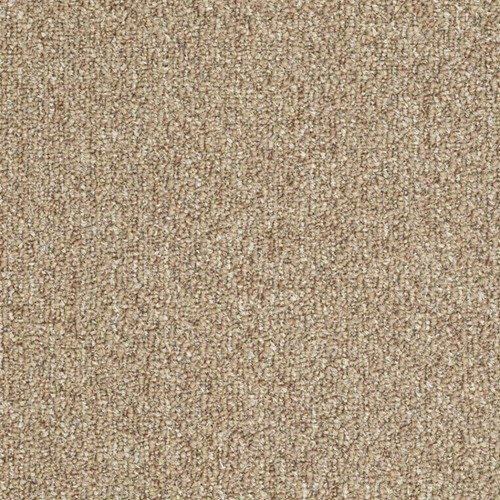 Koeckritz Natural Path 9' x 12' Custom Cut Level Loop Indoor/Outdoor Area Rug - Picture 22 of 31