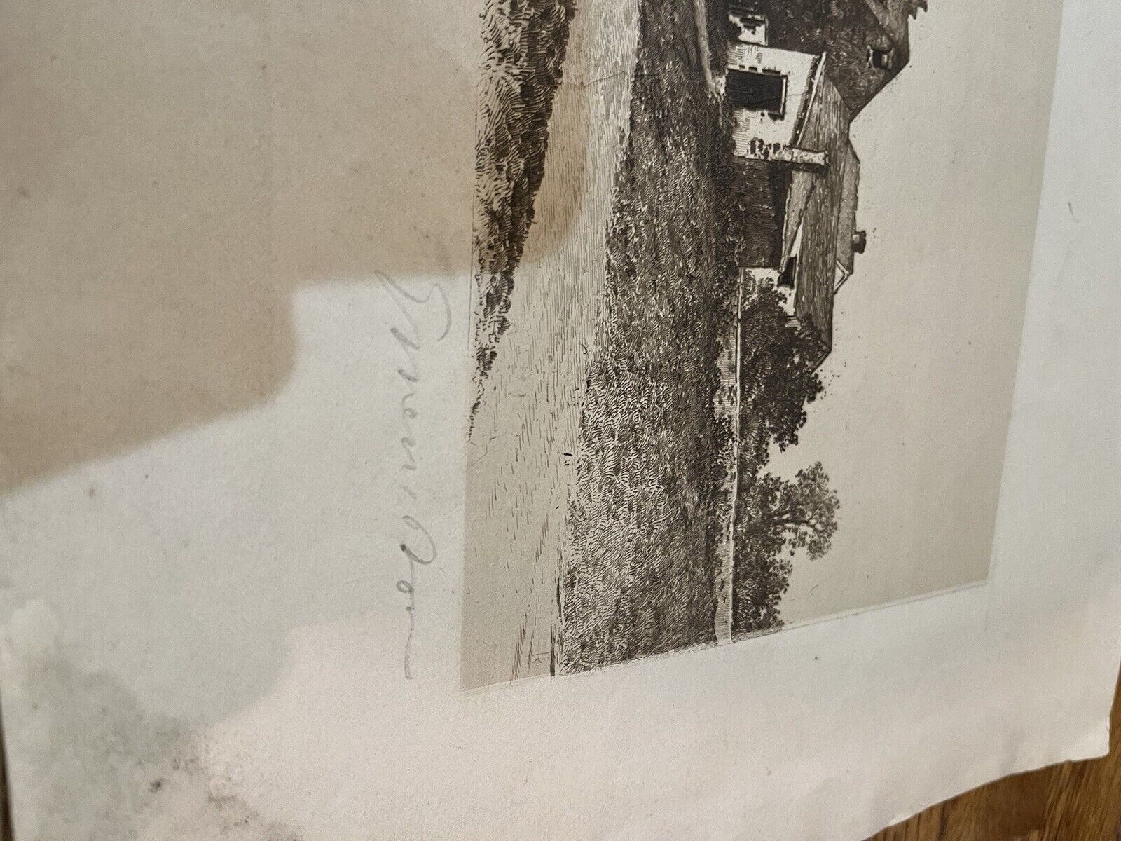 Picture 8 of 15