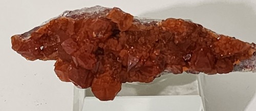 Roter Quarz (Ferrunginos) Atemberaubende Farbe!!! - Bild 1 von 7