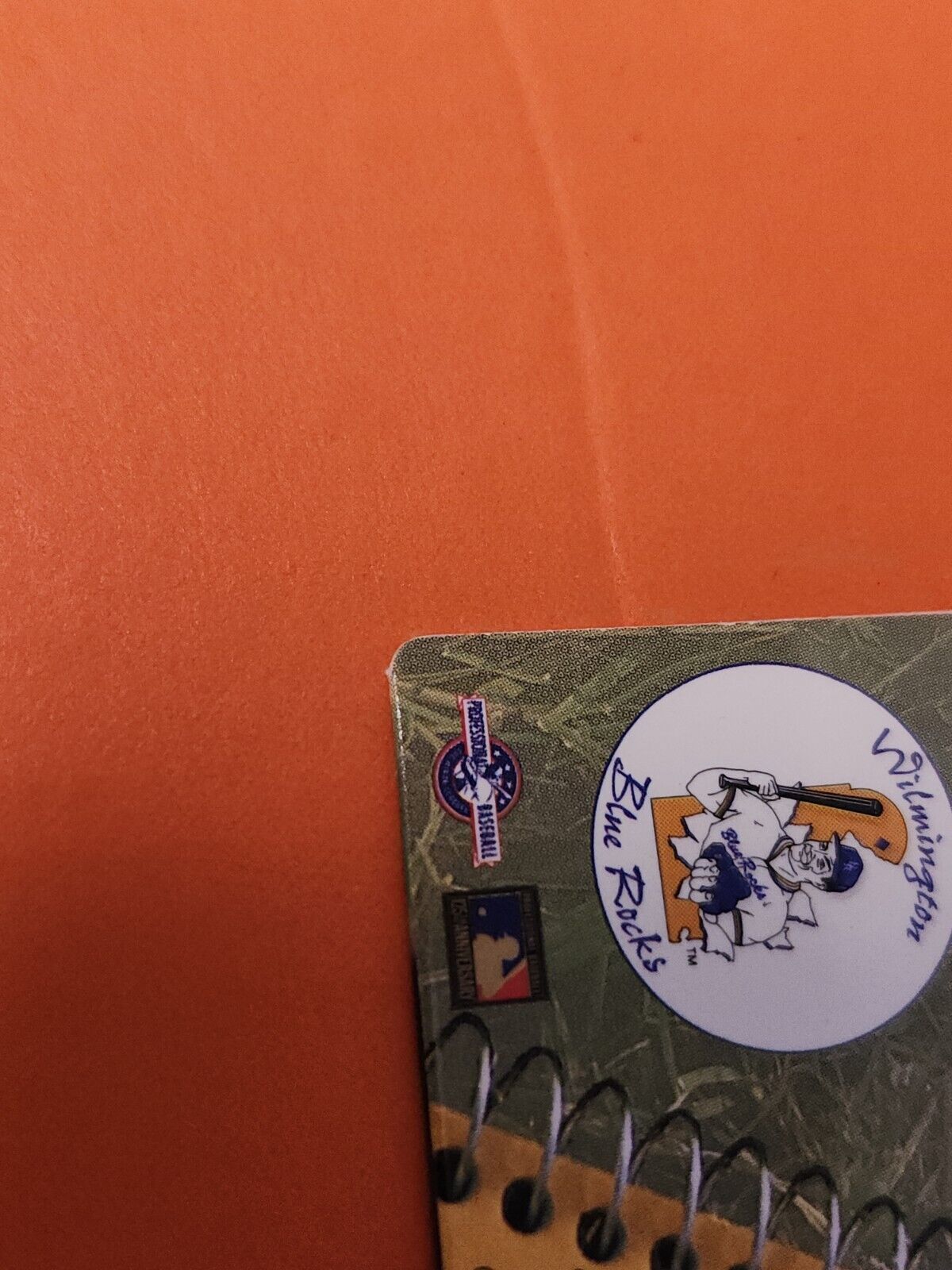 Picture 9 of 10