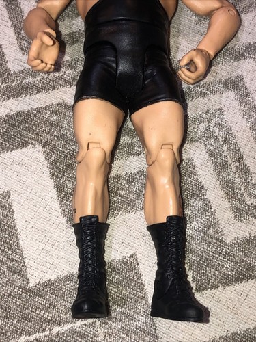 2011 WWE WRESTLING MATTEL BIG SHOW ELITE FAN CENTRAL ACTION FIGURE 8" TALL - Bild 3 von 4