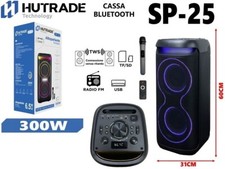 Sp-25 300W Speaker Karaoke Bluetooth Wireless Microphones Amplified Box