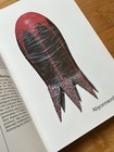 Bild 13 von 24