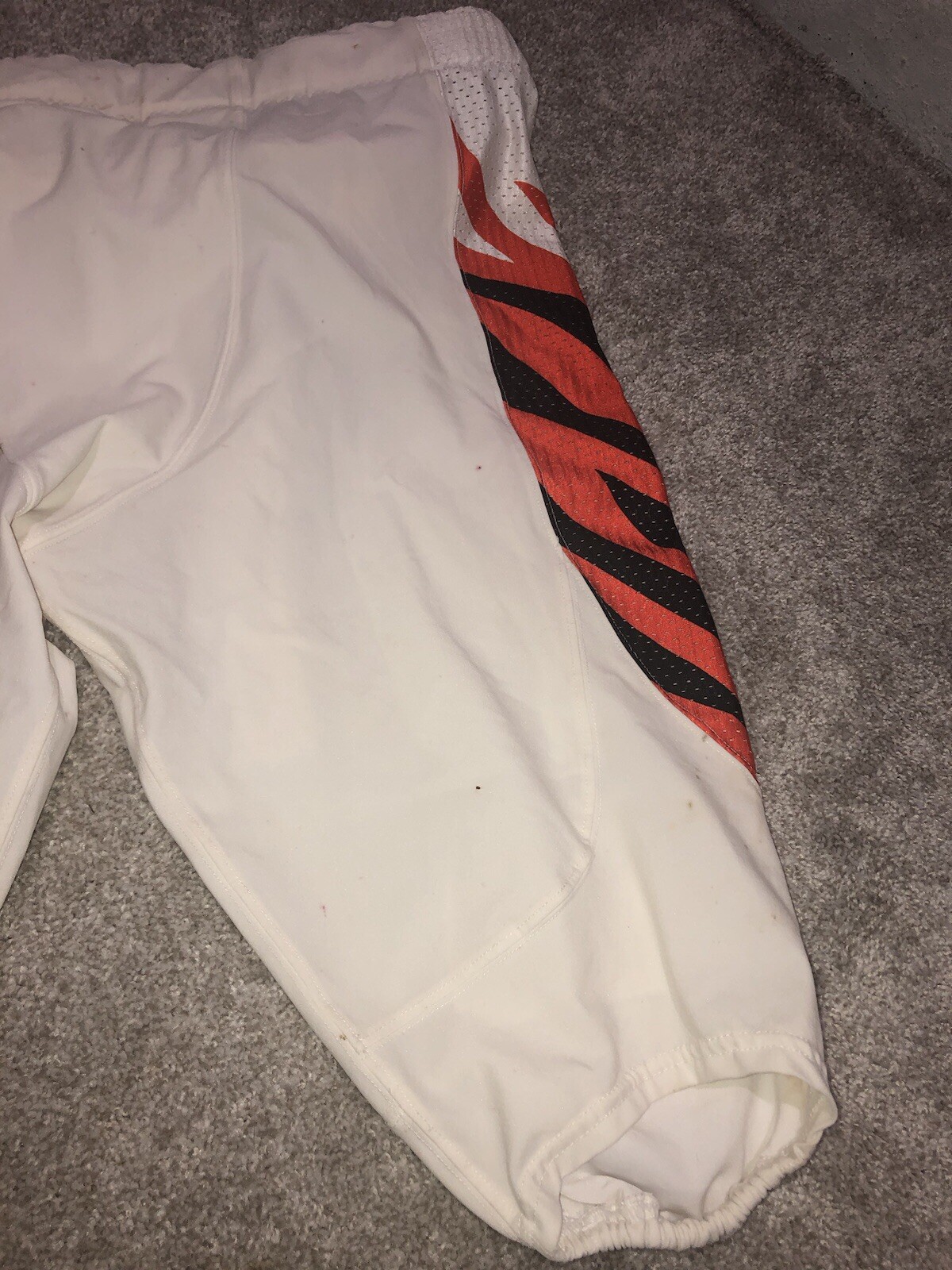 Picture 5 of 14