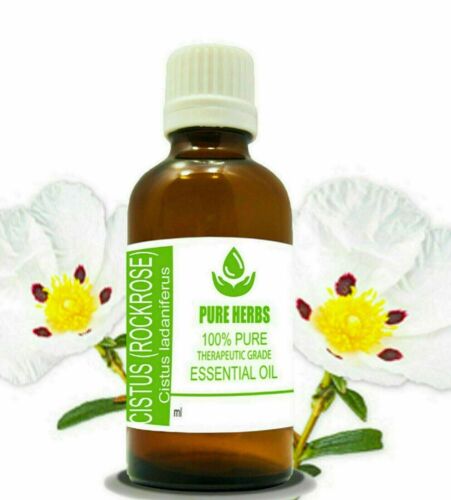 Olio essenziale di Cistus Rockrose 100% puro e naturale di Cistus ladaniferus - Foto 7 di 14