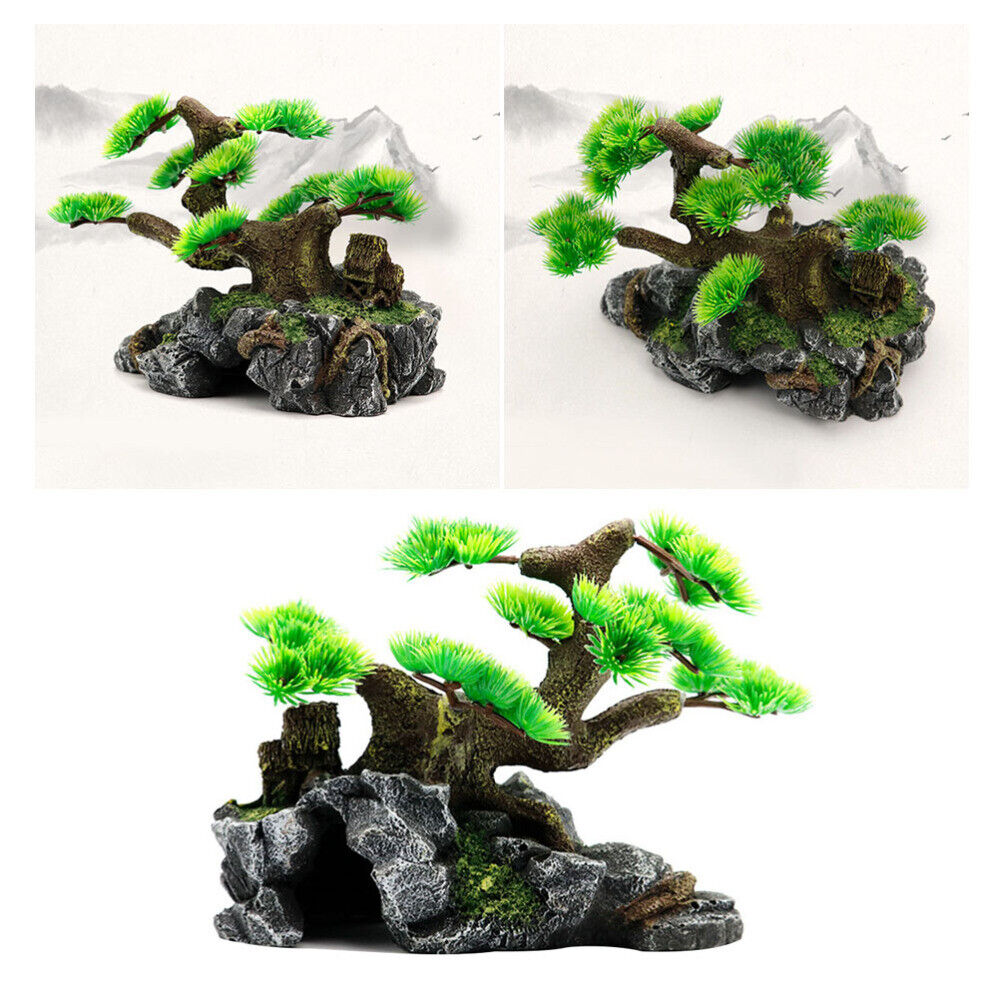 Picture 4 of 11
