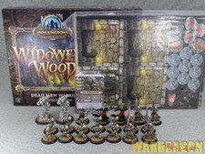 WDS painted Iron Kingdoms Adventure:Widowers ...