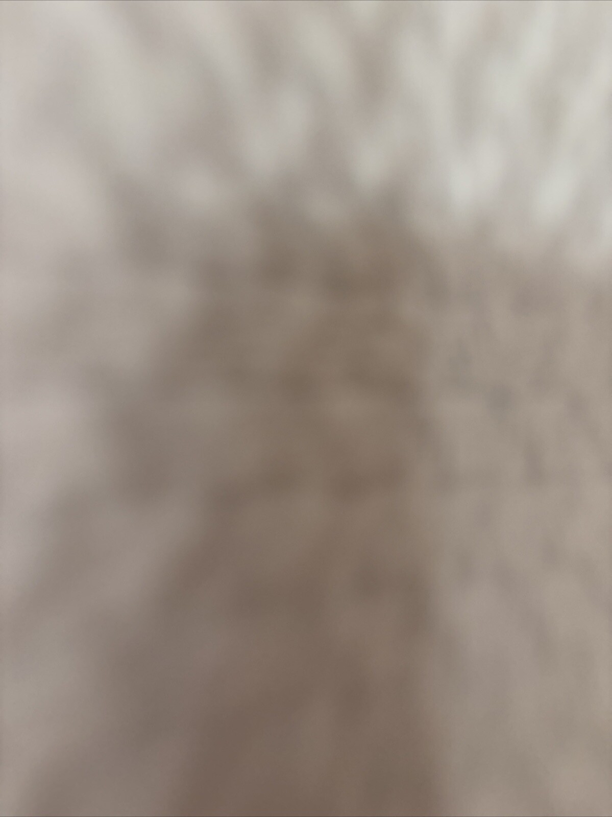 Bild 20 von 20