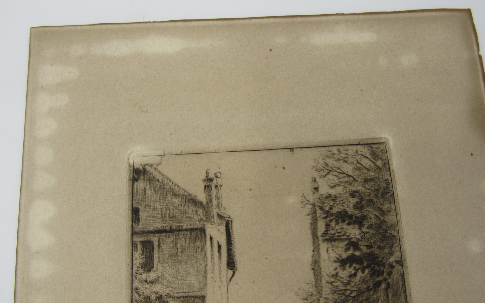 Picture 5 of 8
