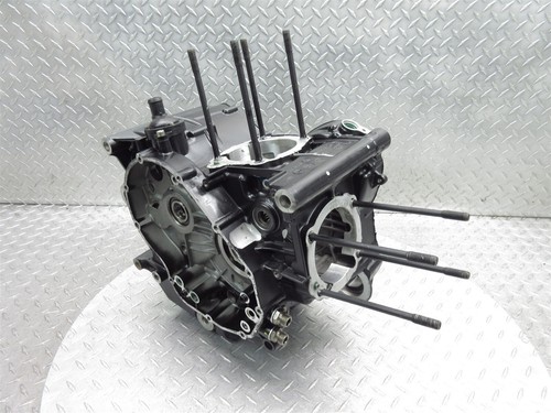 2023 Ducati Scrambler 800 Desert Sled Crankcase Crank Case Engine Motor Block - Picture 3 of 20