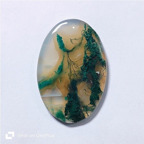 Moss Agate Druzy Natural Moss Agate Cabochon Loose Gemstone 72 Cts ME-9295 - Picture 2 of 3
