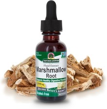 Nature's Answer Alcohol-Free Marshmallow Root Extract, 1-Fluid Ounce | Digestive