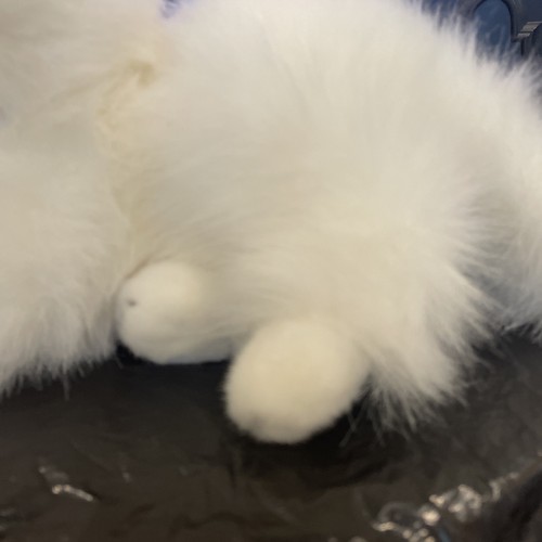 White Persian Cat Plush 17” - Picture 5 of 10