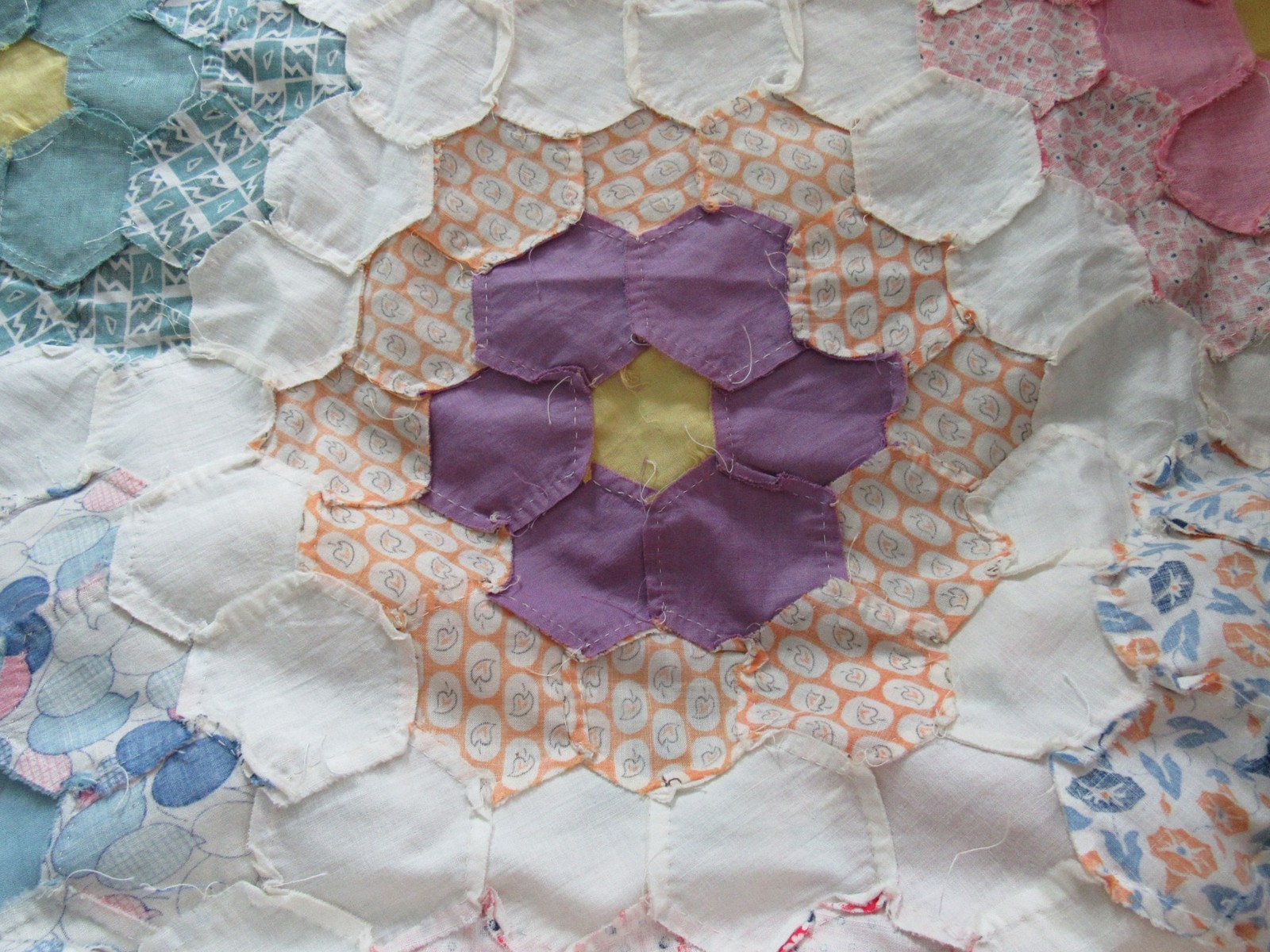 Picture 6 of 6