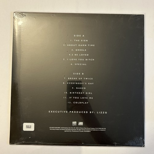 Special by Lizzo Vinyl LP Record 2022 ~ New Sealed 🔥 Hyoe Sticker - Imagen 2 de 5