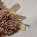 Bild 13 von 13