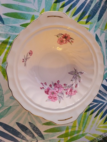 Old Chelsea Johnson Bros fiore rosa floreale scegli il tuo articolo Rose Cherry Blossom - Foto 31 di 65