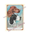 English Setter Vintage Repro Dog Art metal tin sign new ideas for the bedroom