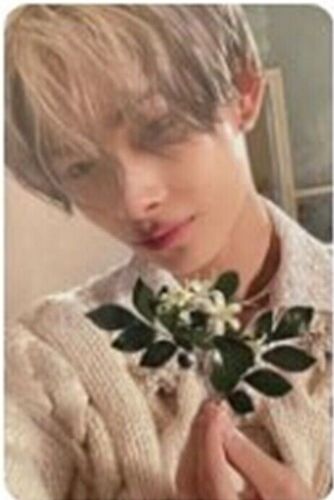 ENHYPEN ORANGE BLOOD KSANA ver. KALPA ver. OFFICIAL PHOTO CARD - Picture 29 of 29