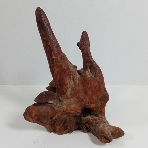 Vintage MCM Oak Tree Root Driftwood Mushroom Sculpture Art Signed Roger Sloan - Picture 6 of 11