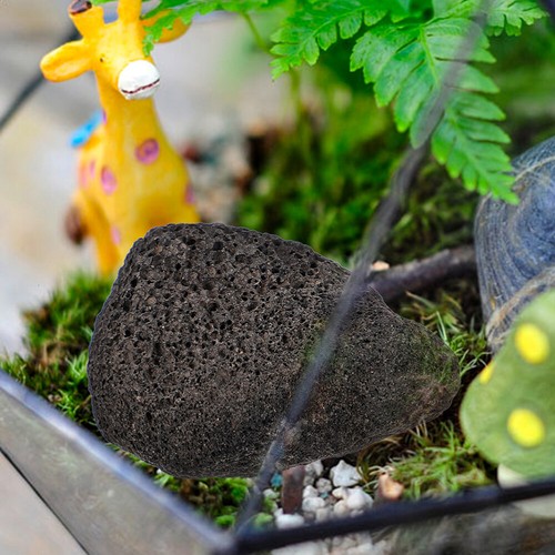Volcanic Stone Landscaping Decorative Rock for Potted Plants Ornament - Picture 8 of 12