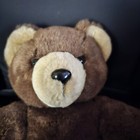 Foto 6 di 6