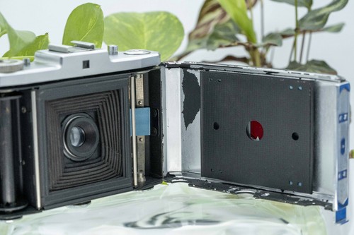 Zeiss Ikon Nettar 517/16 6x6 120 Film Folding Camera - Novar 75mm F6.3 Lens - Picture 12 of 12