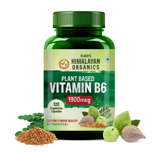 Himalayan Organics Plant-Based Vitamin B6 | Supports Immunity, Brain Health (120