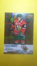 2018-19 Upper Deck CHL SILVER FOIL Antoine Morand #201 Anaheim Ducks Halifax