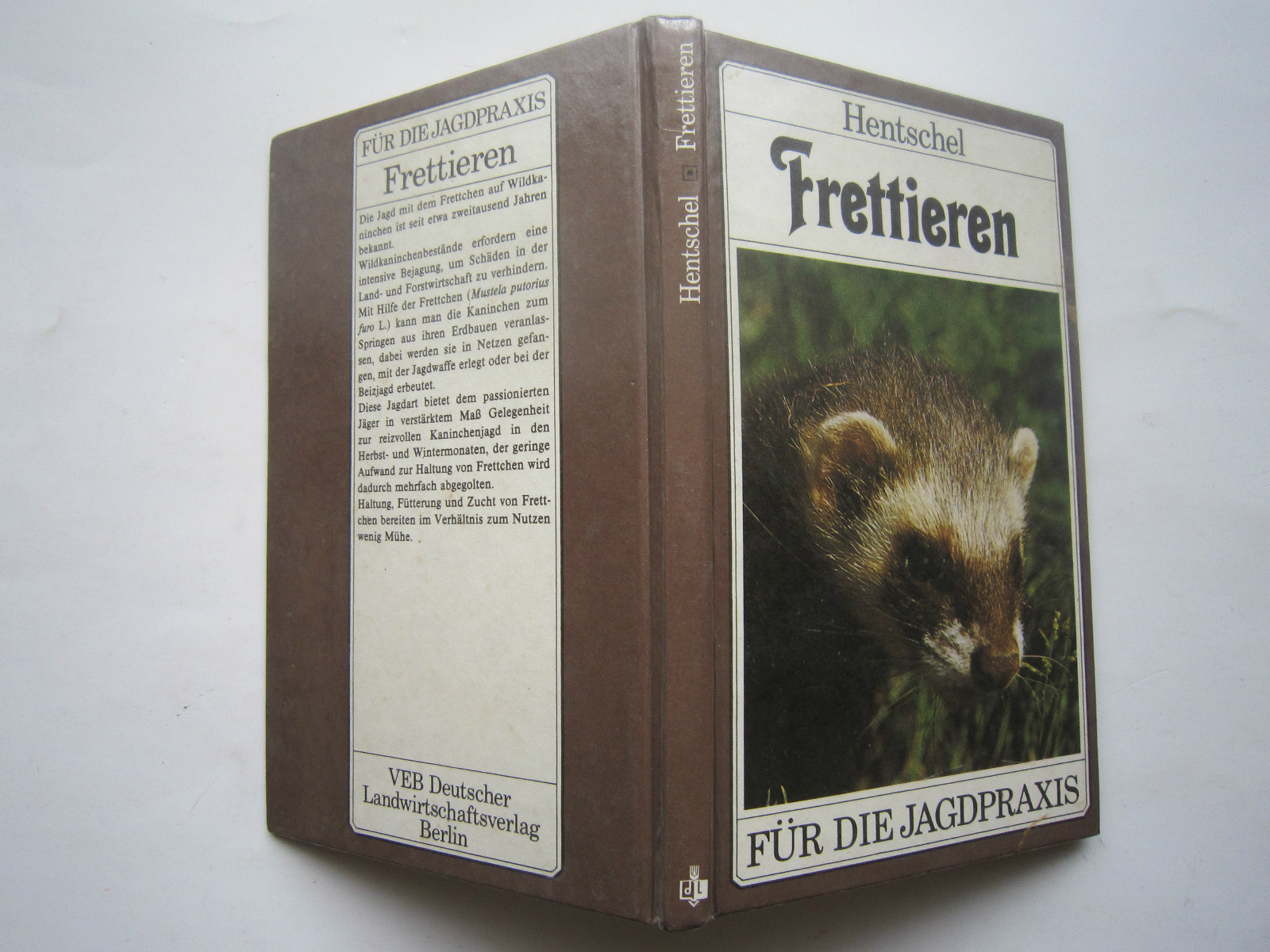 Bild 1 von 10