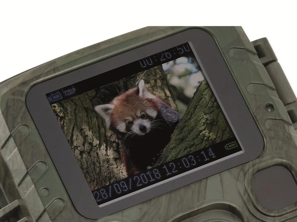 Allemagne Nature Sauvage Caméra Alimenté par Batterie Full HD Cam Intérieur E... Foto 3 de 4