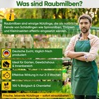 Bild 41 von 43