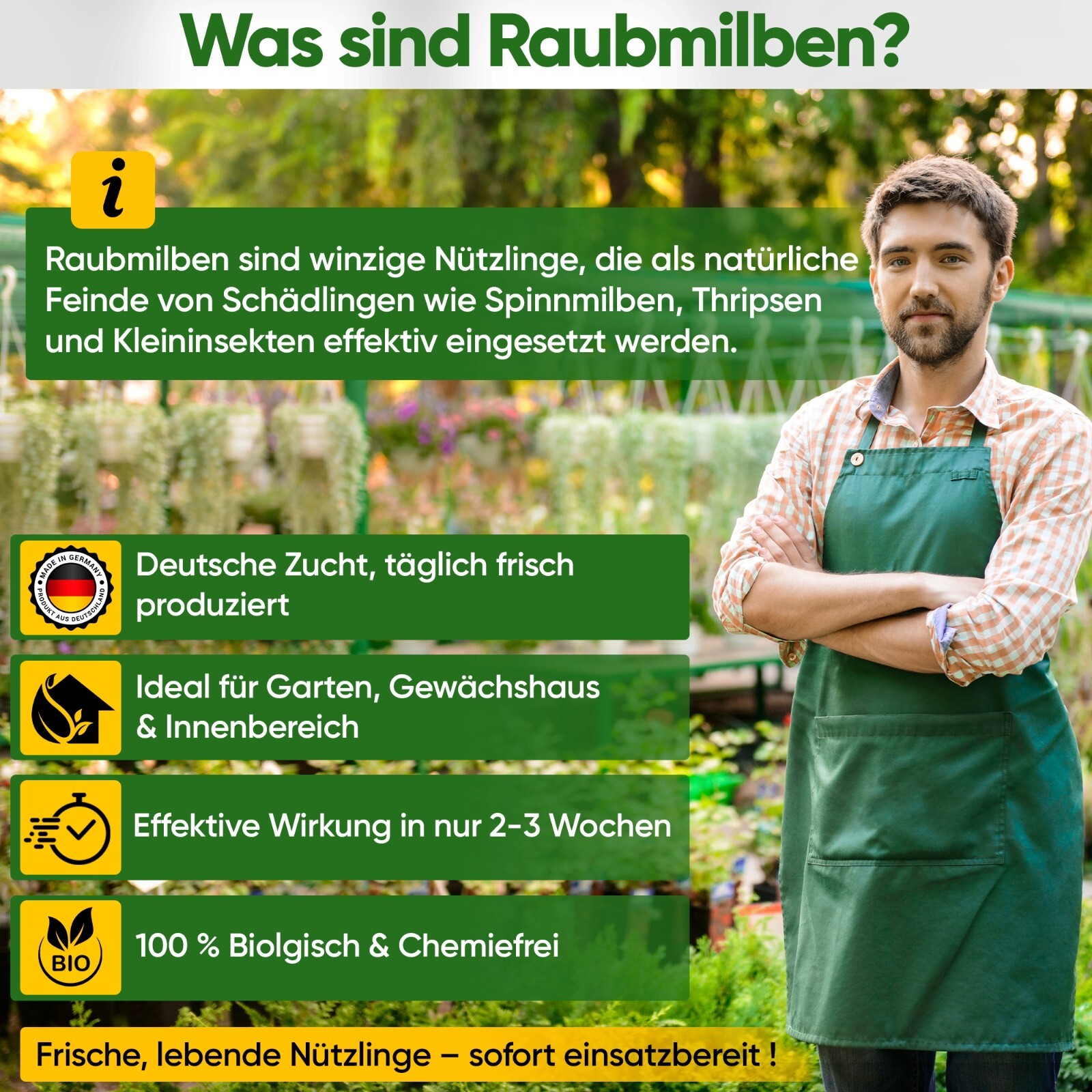 Bild 41 von 43