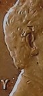 Bild 10 von 22