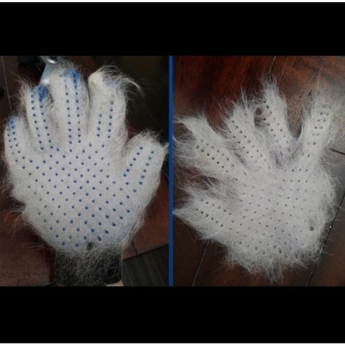 Pet Hair Remover Glove Gentle Grooming Brush Deshedding Massage Mitt Right Hand - Picture 4 of 6