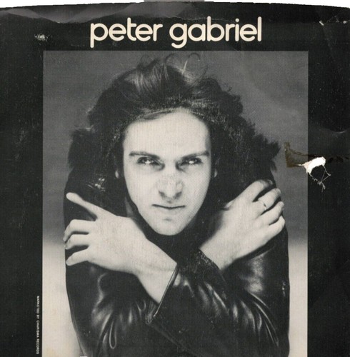 Zucchero Fornanciari  ピーター・ガブリエル＆U2 Amazon.co.jp: Peter Gabriel: ミュージック